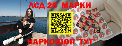 шишки Аргун