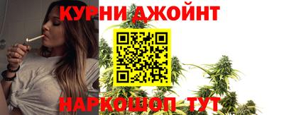 шишки Аргун
