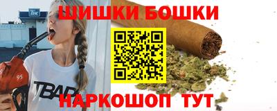 шишки Аргун