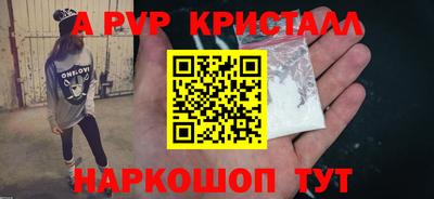 шишки Аргун