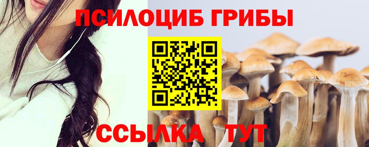 Псилоцибиновые грибы Magic Shrooms Артём