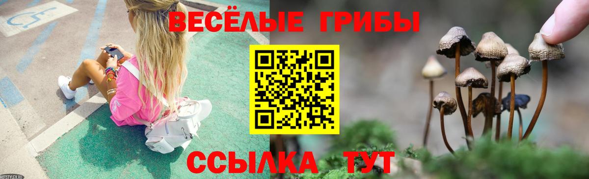 Псилоцибиновые грибы Magic Shrooms  Вход с VPN  Артём  цена наркотик  Псилоцибиновые грибы Magic Shrooms 